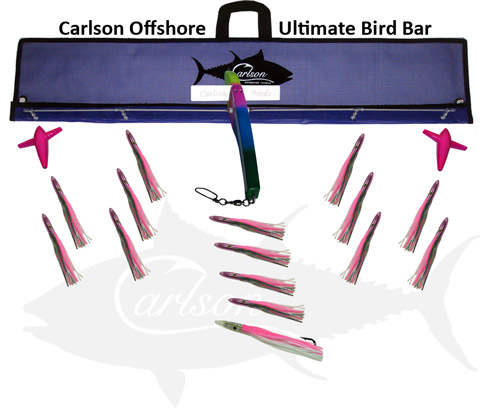 head-head-birdbar-485.jpg