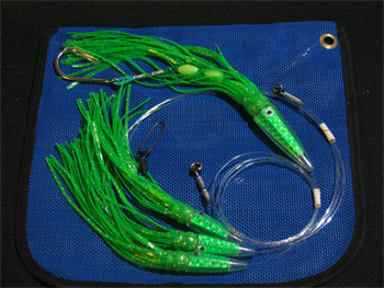 tuna-train-350.jpg